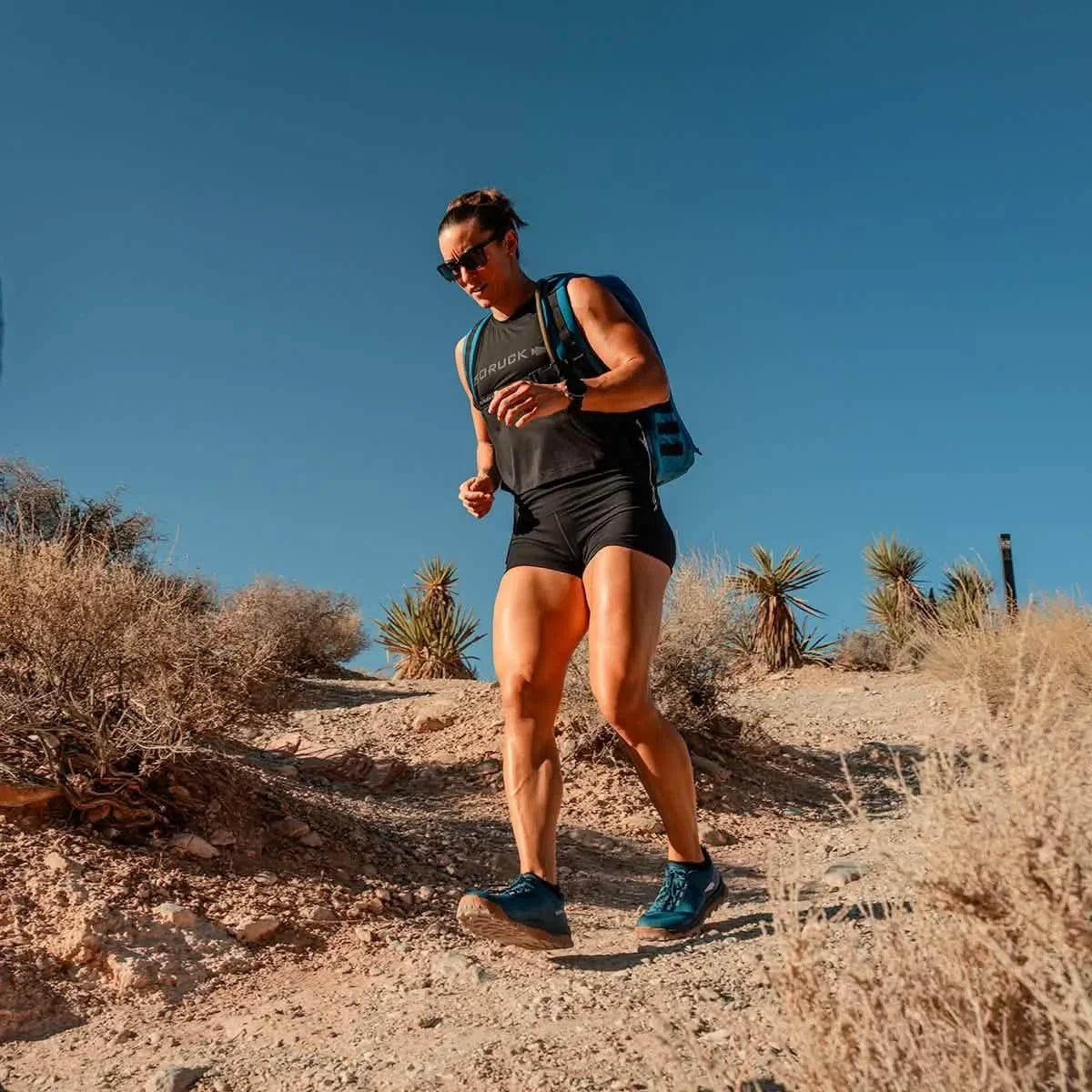 Merino Challenge Socks - Ankle (No-Show)