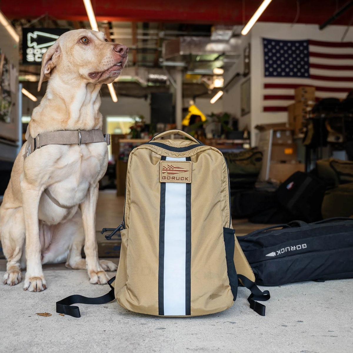 Basic Rucker