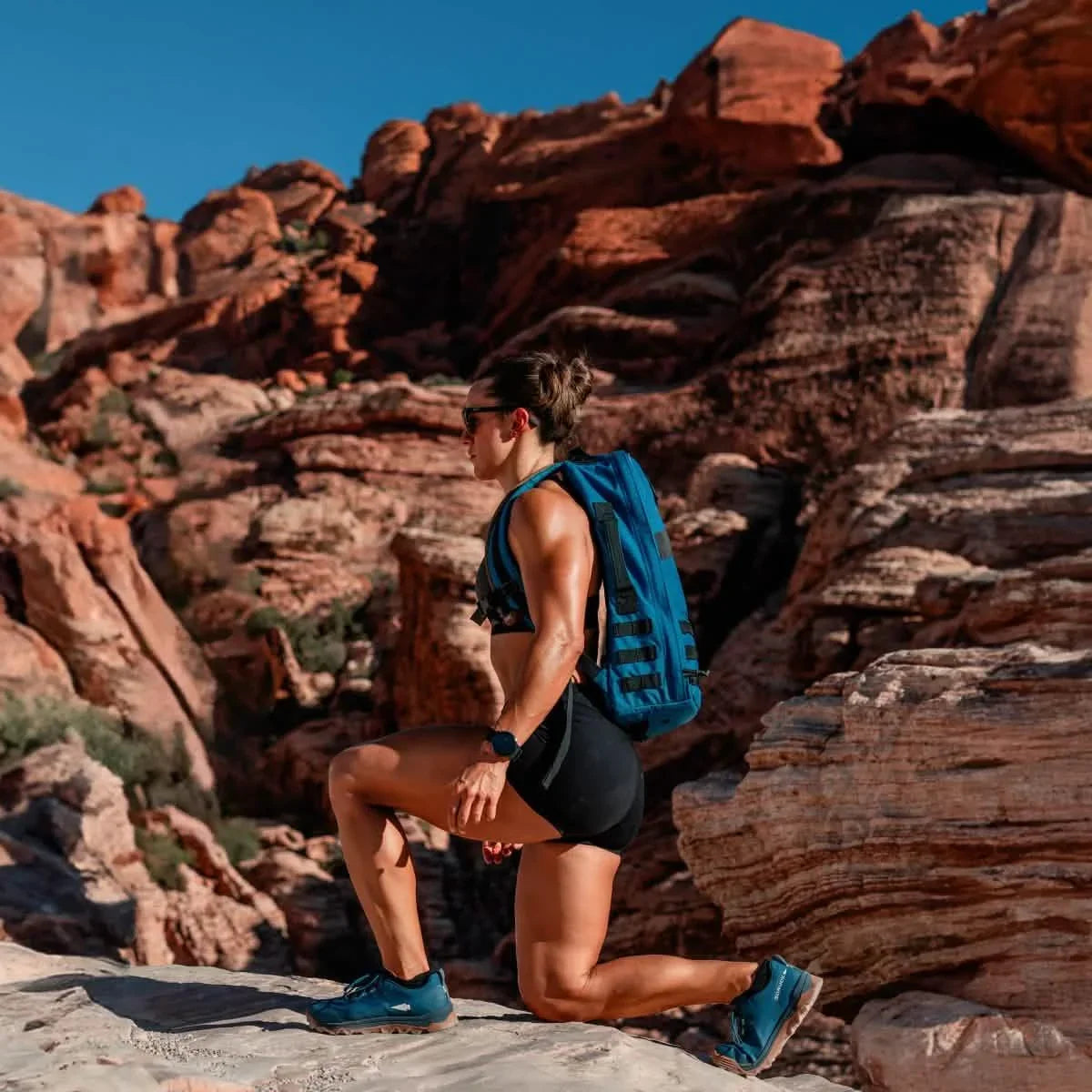 Merino Challenge Socks - Ankle (No-Show)